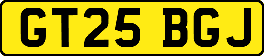 GT25BGJ