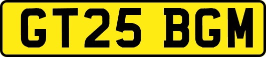 GT25BGM