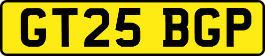 GT25BGP