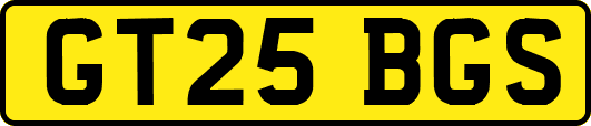 GT25BGS
