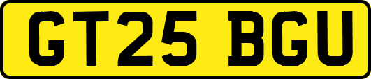 GT25BGU