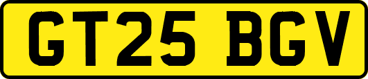GT25BGV