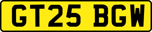 GT25BGW