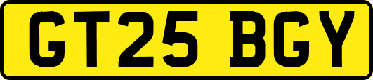 GT25BGY