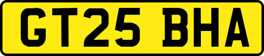 GT25BHA