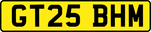 GT25BHM