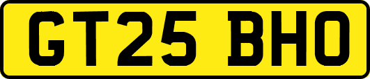 GT25BHO