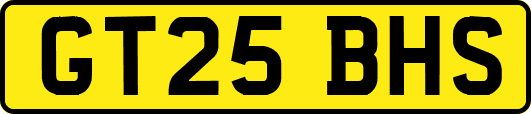 GT25BHS