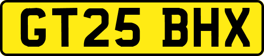 GT25BHX