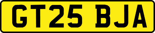 GT25BJA