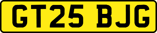 GT25BJG