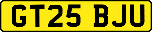 GT25BJU