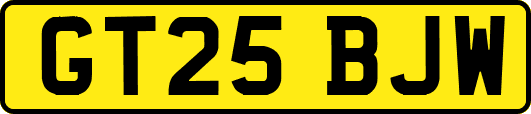 GT25BJW