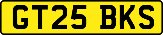 GT25BKS