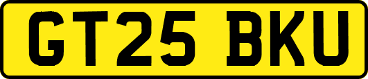 GT25BKU