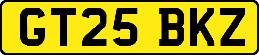 GT25BKZ