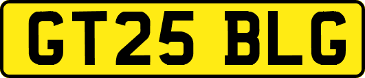 GT25BLG