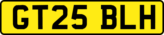 GT25BLH