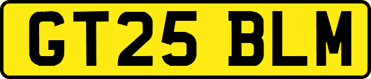 GT25BLM
