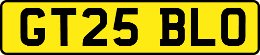 GT25BLO