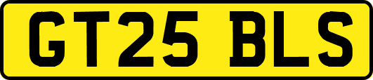 GT25BLS