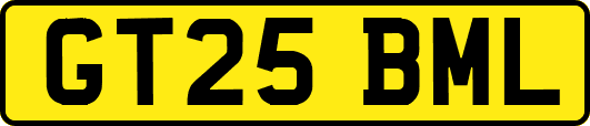 GT25BML