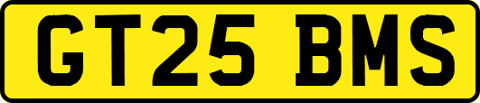 GT25BMS