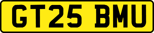 GT25BMU