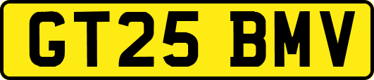GT25BMV