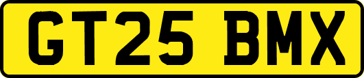 GT25BMX