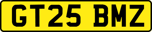 GT25BMZ