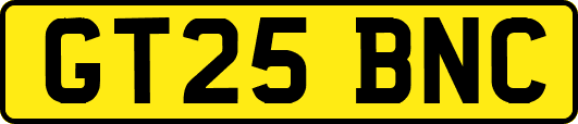 GT25BNC