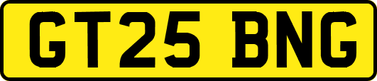 GT25BNG
