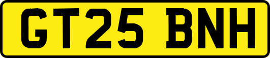 GT25BNH