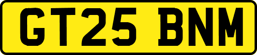 GT25BNM