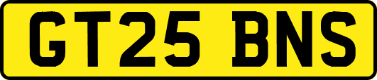 GT25BNS