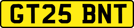 GT25BNT