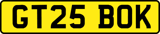 GT25BOK
