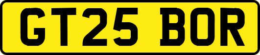 GT25BOR