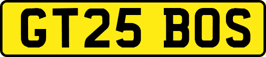 GT25BOS