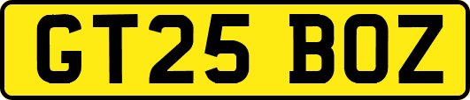 GT25BOZ