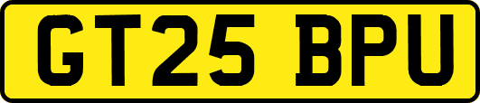 GT25BPU