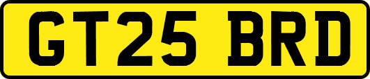 GT25BRD