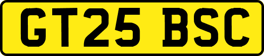 GT25BSC
