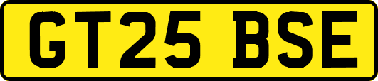 GT25BSE