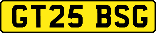 GT25BSG