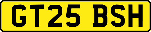 GT25BSH