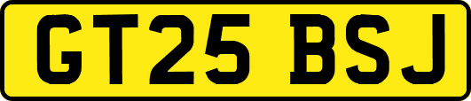 GT25BSJ