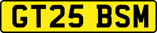 GT25BSM