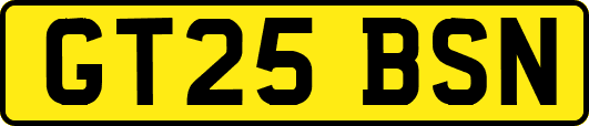 GT25BSN
